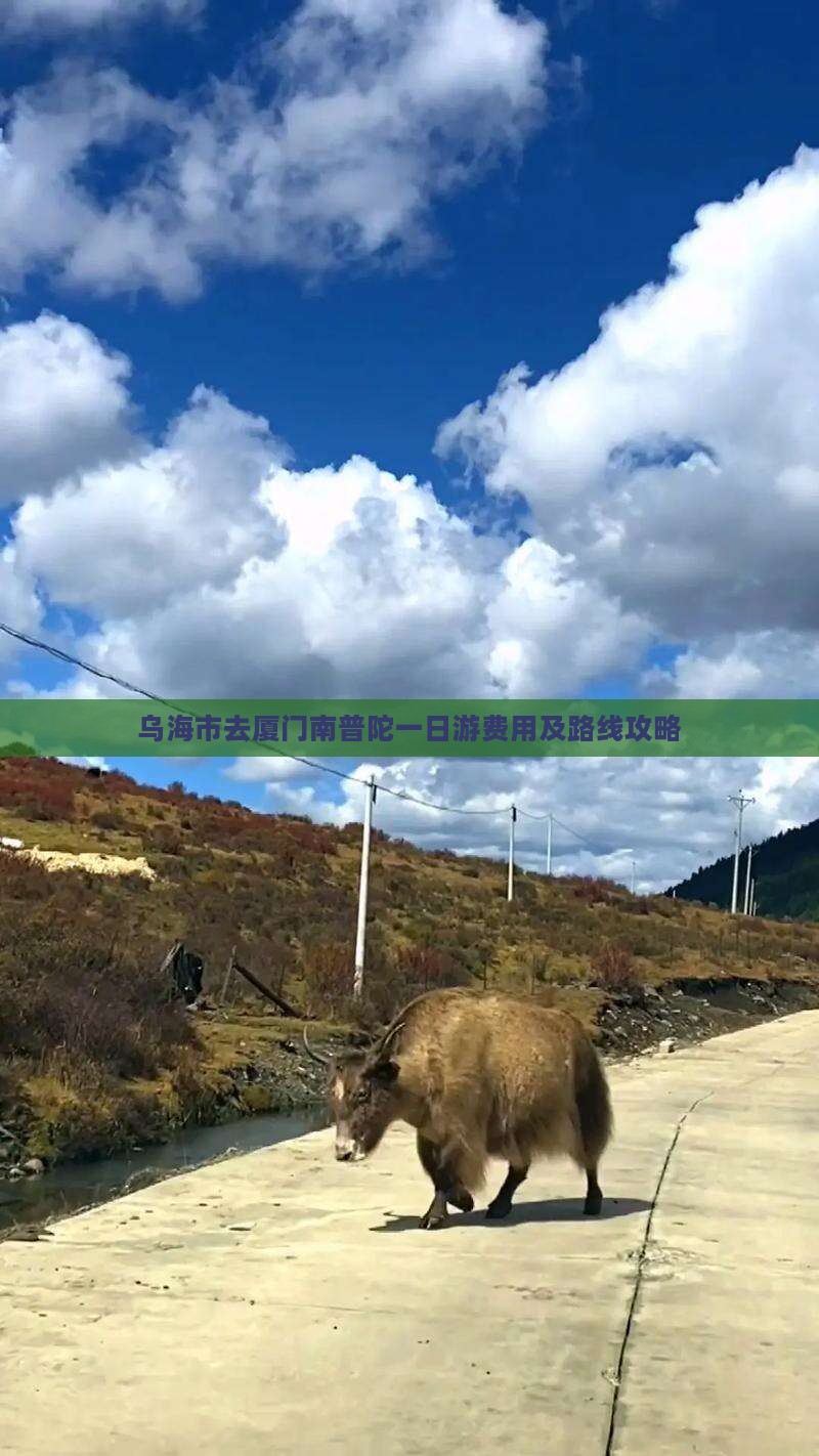 乌海市去厦门南普陀一日游费用及路线攻略