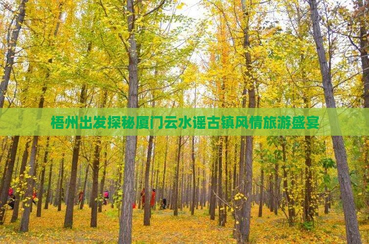梧州出发探秘厦门云水谣古镇风情旅游盛宴
