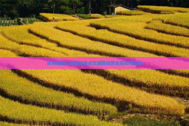 永州去厦门南普陀景点交通路线及自驾时间指南