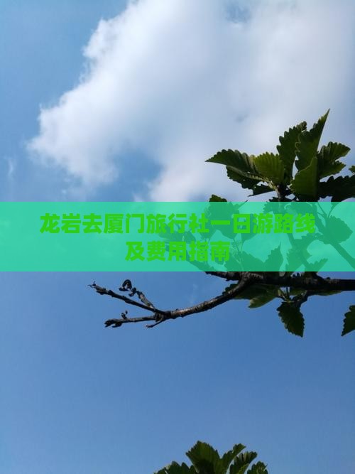 龙岩去厦门旅行社一日游路线及费用指南