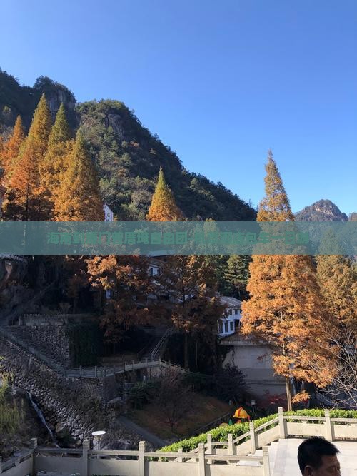 海南到厦门曾厝埯自由团-机票酒店包车一日游