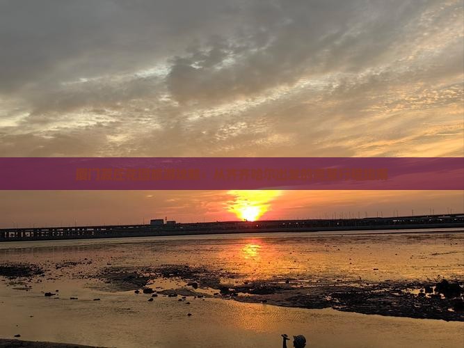 厦门菽庄花园旅游攻略：从齐齐哈尔出发的完整行程指南