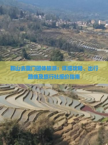 鞍山去厦门团体旅游：详细攻略、出行路线及旅行社报价指南