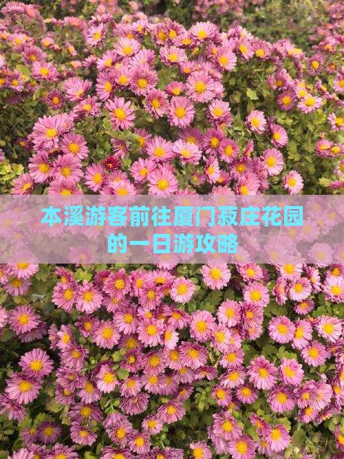 本溪游客前往厦门菽庄花园的一日游攻略