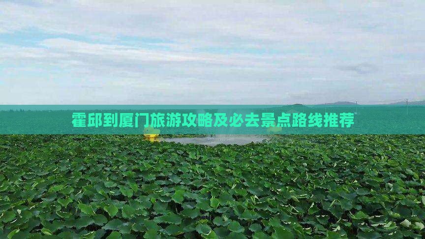 霍邱到厦门旅游攻略及必去景点路线推荐