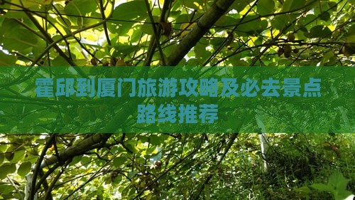 霍邱到厦门旅游攻略及必去景点路线推荐