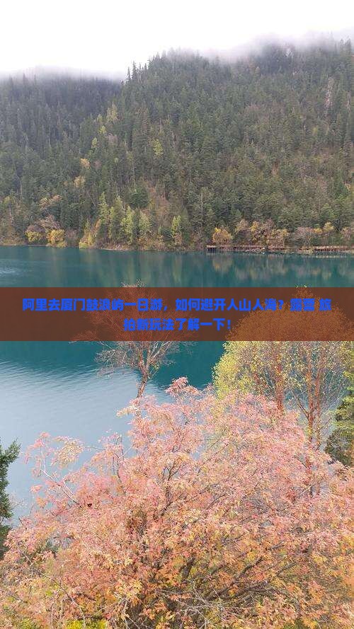 阿里去厦门鼓浪屿一日