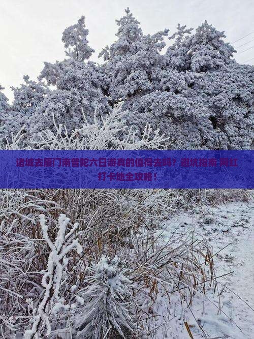 诸城去厦门南普陀六日游