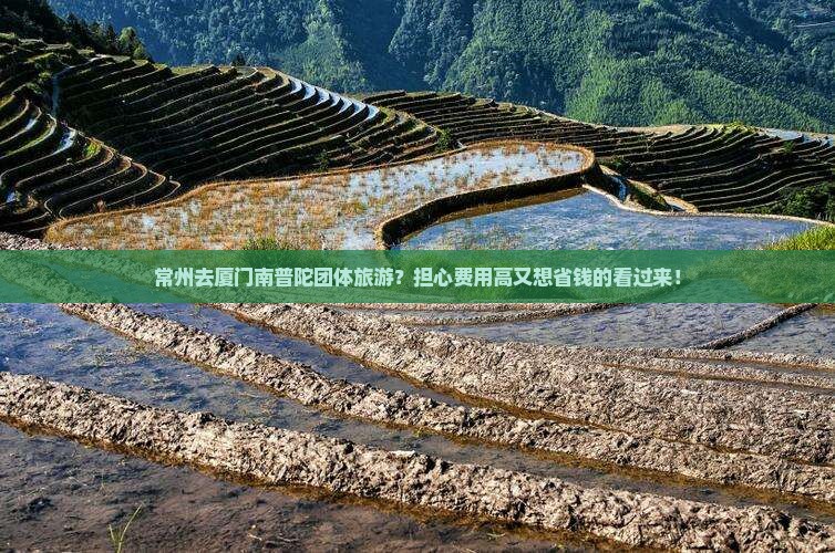 常州去厦门南普陀团体旅游