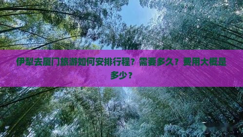 伊犁去厦门一日