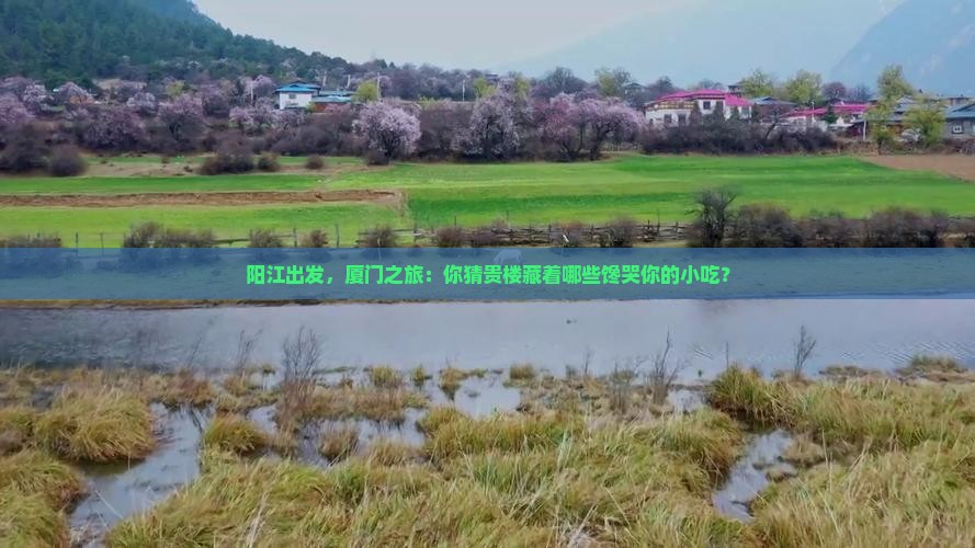 阳江去厦门和贵楼旅游小吃