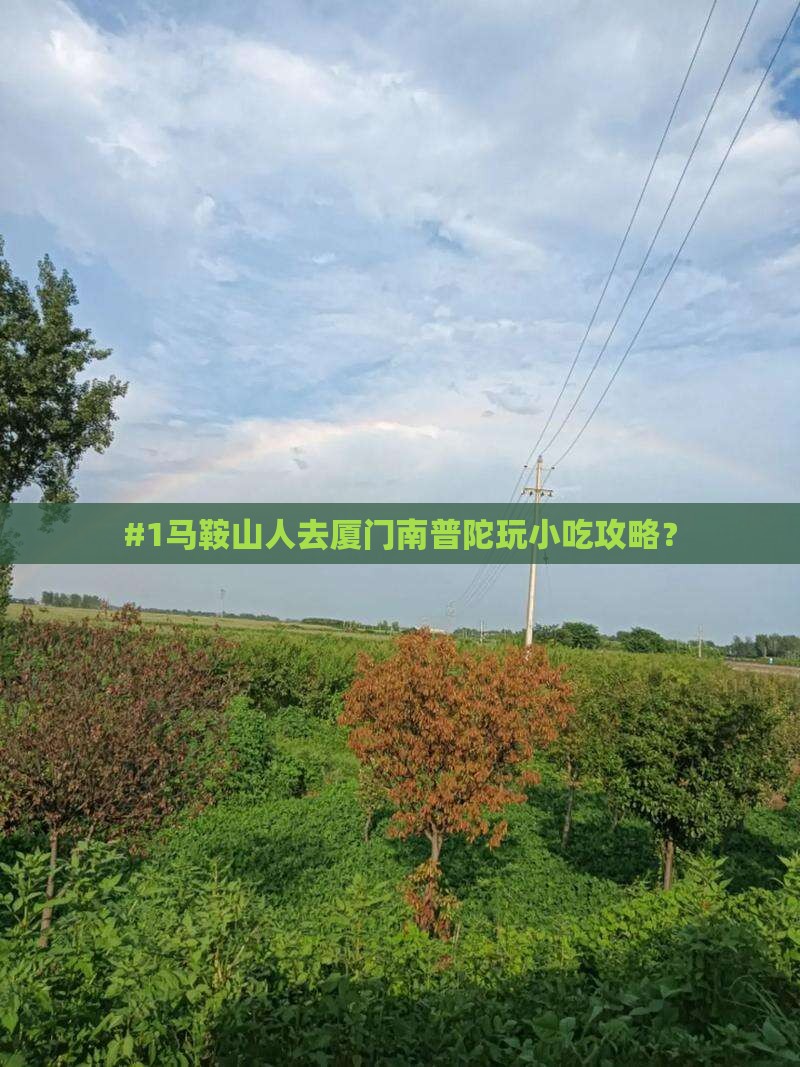 马鞍山去厦门南普陀旅游小吃