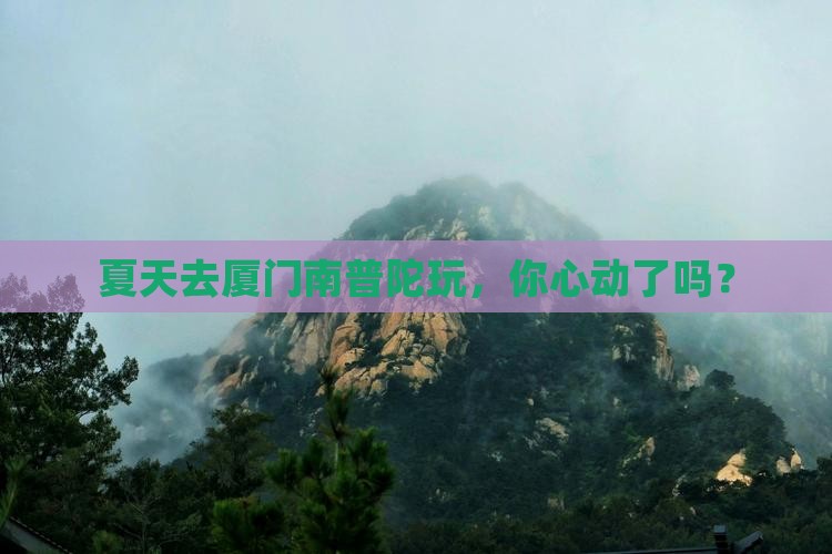 夏天到厦门南普陀景点