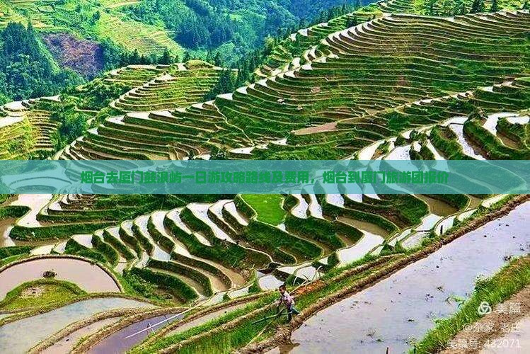 烟台去厦门鼓浪屿一日