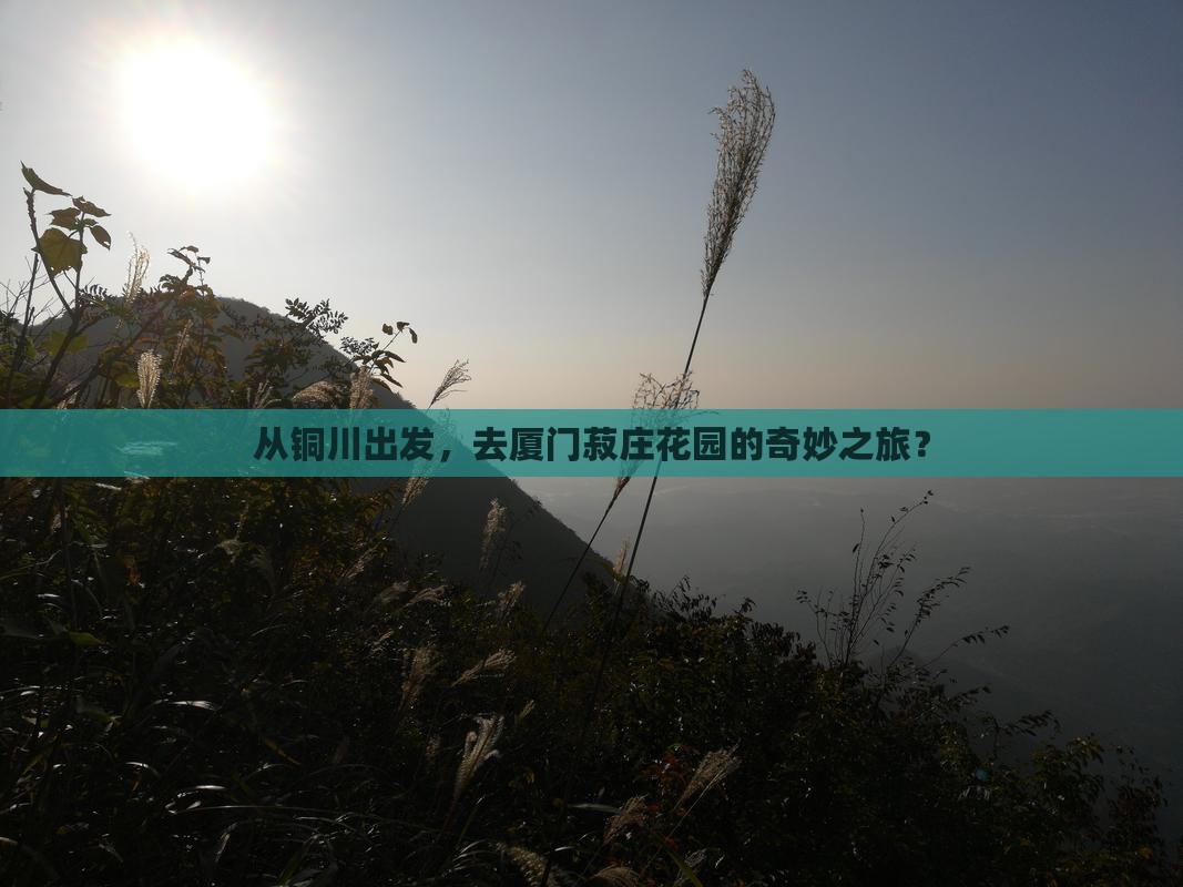 铜川到厦门菽庄花园旅游