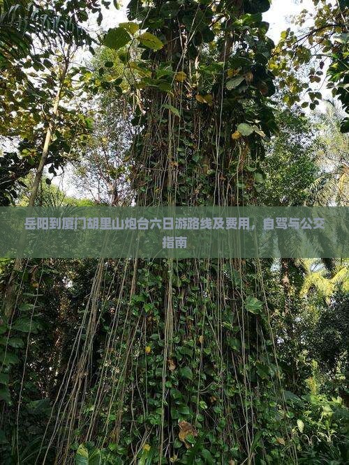 岳阳到厦门胡里山炮台六日游