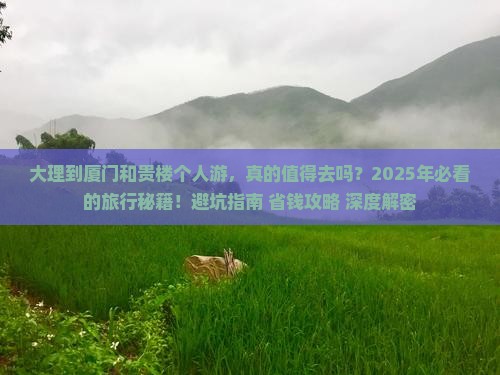 大理到厦门和贵楼个人游