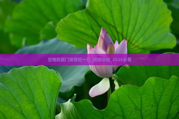 甘南到厦门南普陀一日