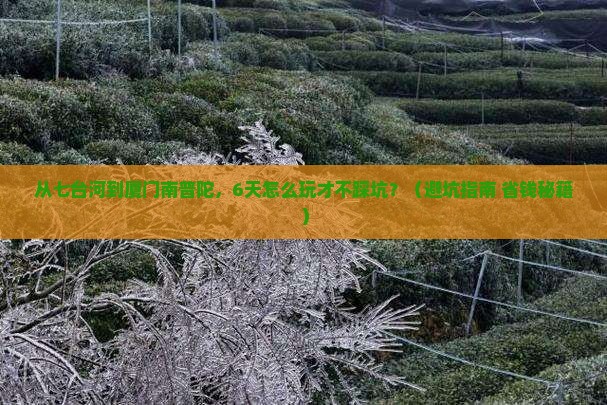 七台河去厦门南普陀六日游