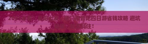 襄阳去厦门南普陀四日游