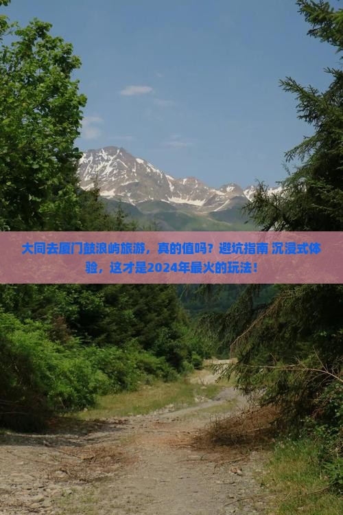 大同去厦门鼓浪屿旅游