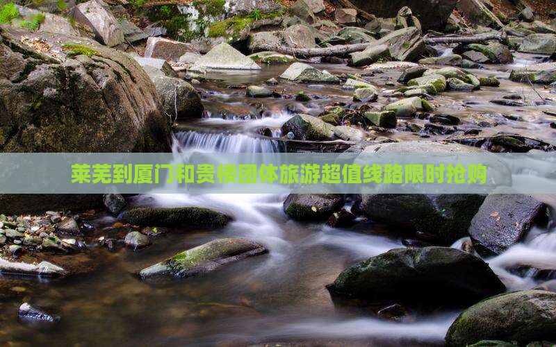 莱芜到厦门和贵楼团体旅游