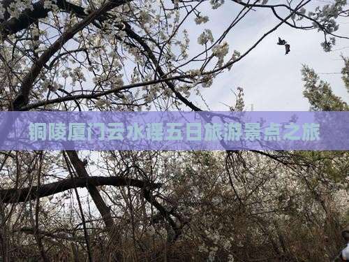 铜陵去厦门云水谣五日游