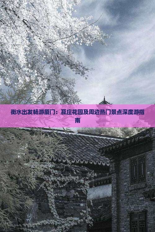 衡水出发畅游厦门：菽庄花园及周边热门景点深度游指南