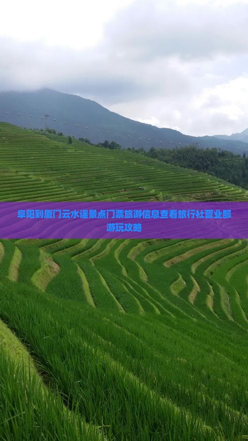 阜阳到厦门云水谣景点门票旅游信息查看旅行社营业部游玩攻略