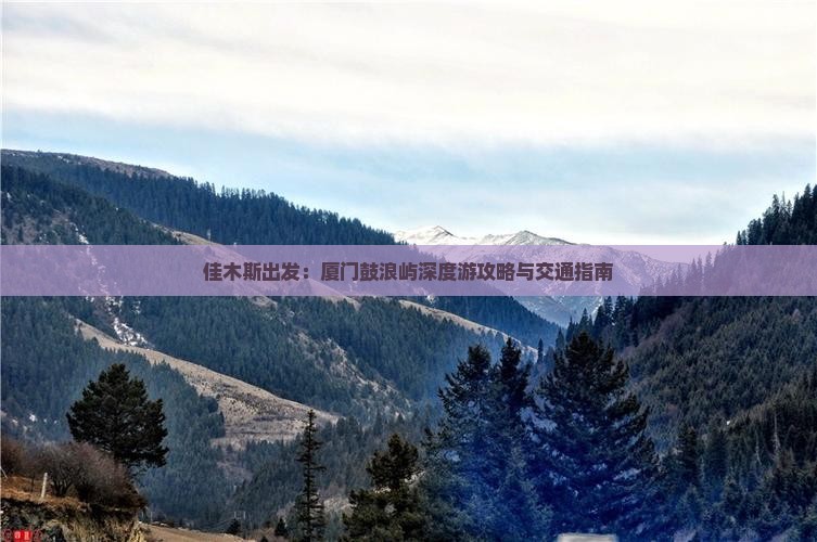 佳木斯出发：厦门鼓浪屿深度游攻略与交通指南
