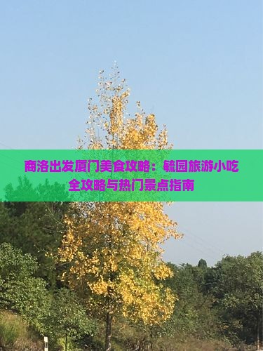 商洛出发厦门美食攻略：毓园旅游小吃全攻略与热门景点指南