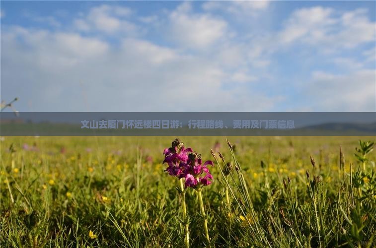文山去厦门怀远楼四日游：行程路线、费用及门票信息