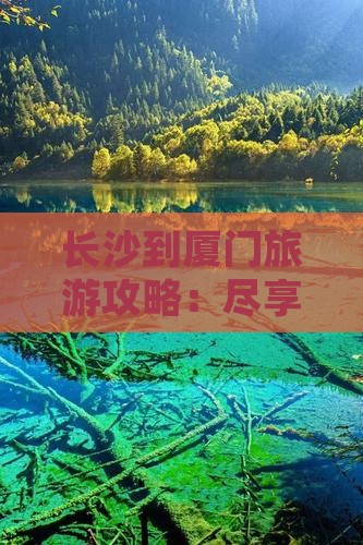 长沙到厦门旅游攻略：尽享一日精彩旅程