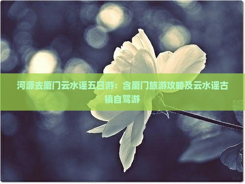 河源去厦门云水谣五日游：含厦门旅游攻略及云水谣古镇自驾游