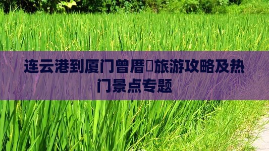 连云港到厦门曾厝垵旅游攻略及热门景点专题