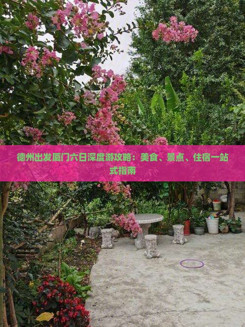 德州出发厦门六日深度游攻略：美食、景点、住宿一站式指南