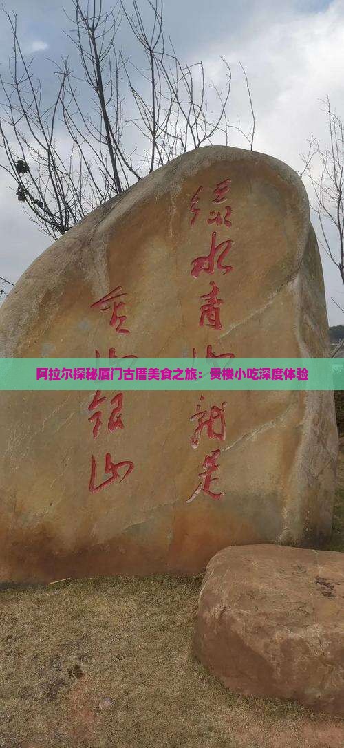 阿拉尔探秘厦门古厝美食之旅：贵楼小吃深度体验