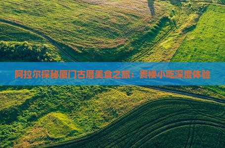 阿拉尔探秘厦门古厝美食之旅：贵楼小吃深度体验