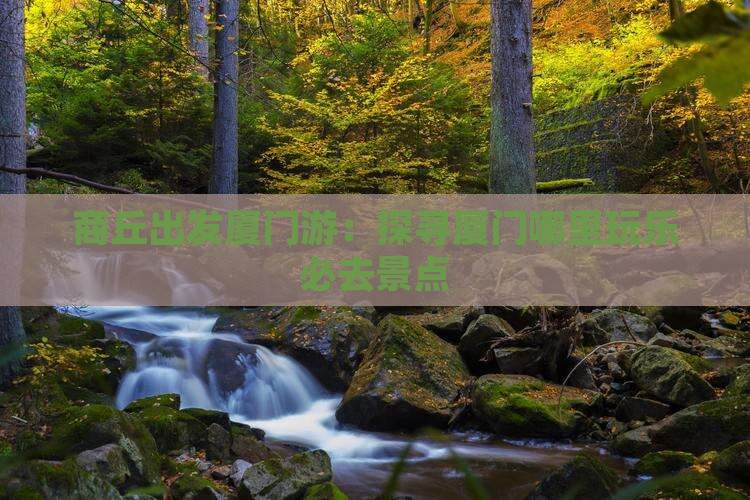 商丘出发厦门游：探寻厦门哪里玩乐必去景点