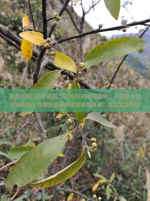 张掖去厦门菽庄花园二日游