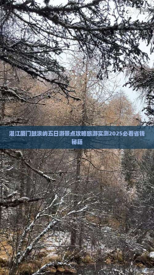 湛江去厦门鼓浪屿五日游