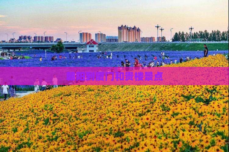 朝阳到厦门和贵楼景点