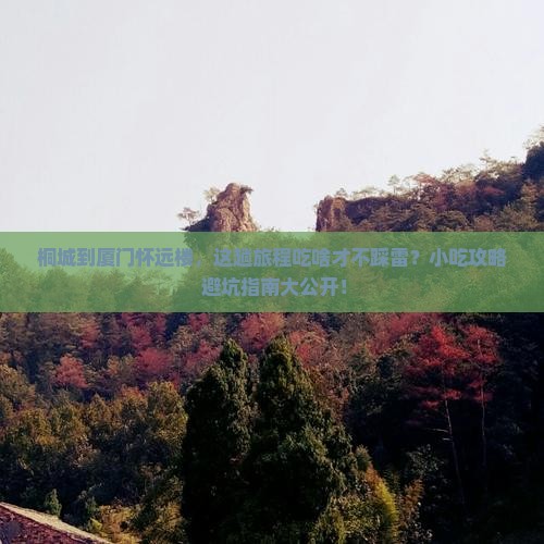 桐城到厦门怀远楼旅游小吃