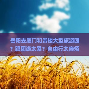 岳阳去厦门和贵楼大型旅游团