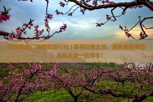 延安到厦门南普陀旅行社