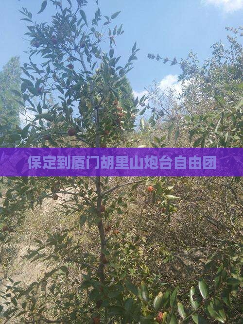 保定到厦门胡里山炮台自由团