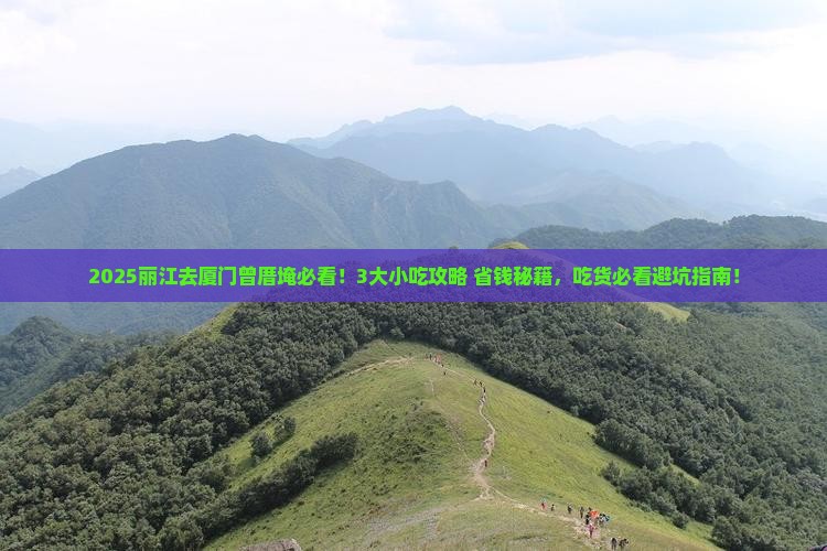 丽江去厦门曾厝埯旅游小吃