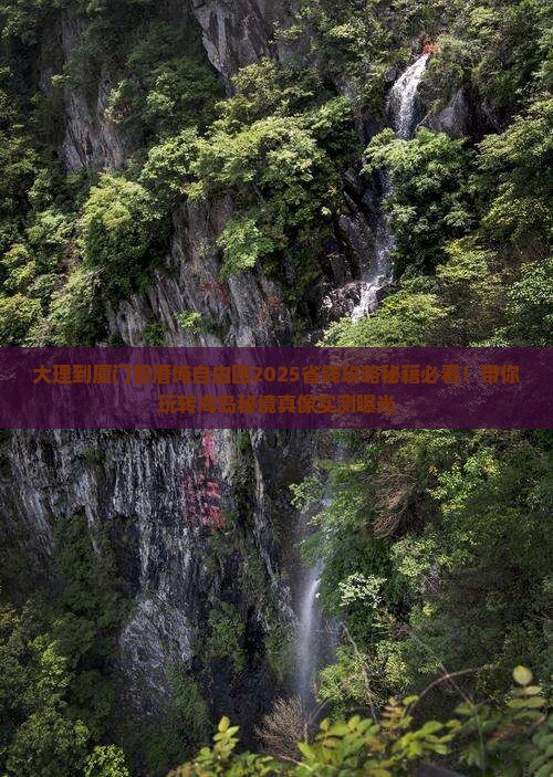 大理到厦门曾厝埯自由团