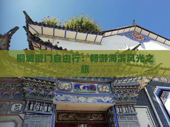 桐城厦门自由行：畅游海滨风光之旅