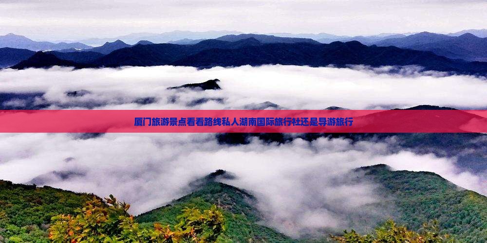 厦门旅游景点看看路线私人湖南国际旅行社还是导游旅行